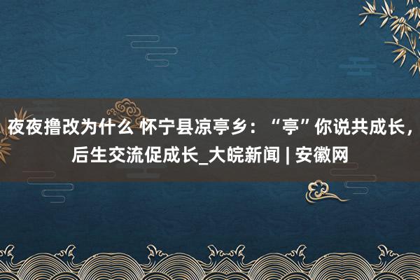 夜夜撸改为什么 怀宁县凉亭乡：“亭”你说共成长，后生交流促成长_大皖新闻 | 安徽网
