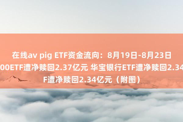 在线av pig ETF资金流向：8月19日-8月23日中原创业板100ETF遭净赎回2.37亿元 华宝银行ETF遭净赎回2.34亿元（附图）