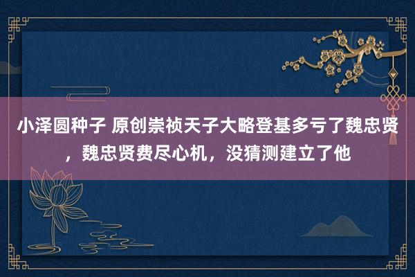 小泽圆种子 原创崇祯天子大略登基多亏了魏忠贤，魏忠贤费尽心机，没猜测建立了他