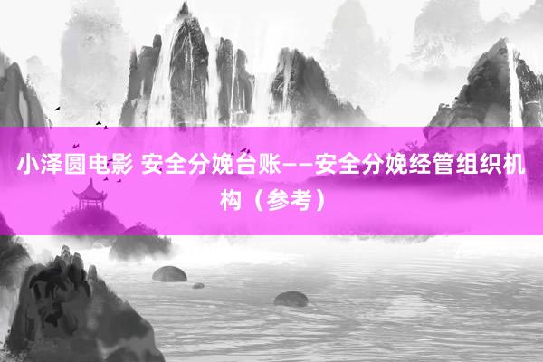 小泽圆电影 安全分娩台账——安全分娩经管组织机构（参考）