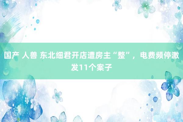 国产 人兽 东北细君开店遭房主“整”，电费频停激发11个案子