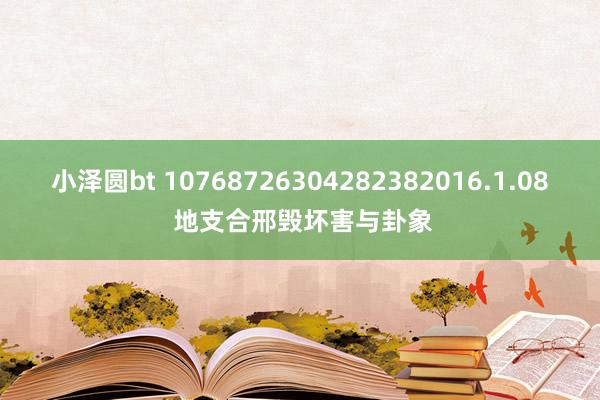 小泽圆bt 10768726304282382016.1.08 地支合邢毁坏害与卦象