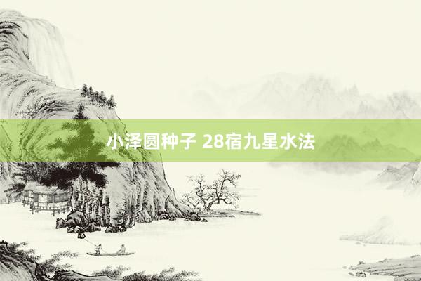 小泽圆种子 28宿九星水法