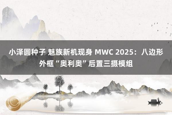小泽圆种子 魅族新机现身 MWC 2025：八边形外框“奥利奥”后置三摄模组